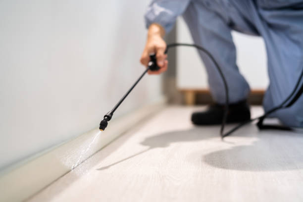 Licensed Fumigation Services service in Langhorne, PA - Nex Pest Control