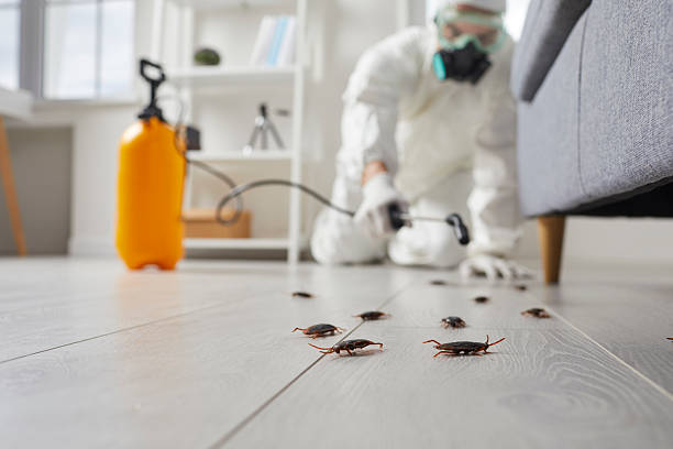 Trusted Cockroach Control service in Langhorne, PA - Nex Pest Control