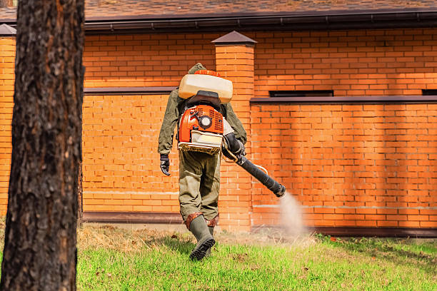 Trusted Termite Control service in Langhorne, PA - Nex Pest Control